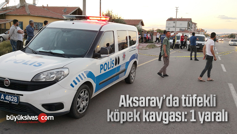 Aksaray’da tüfekli köpek kavgası: 1 yaralı