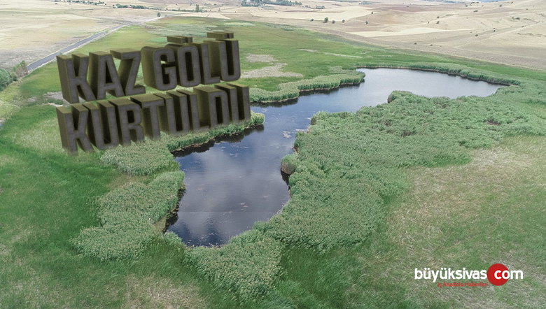 Kaz Gölü kurtuldu