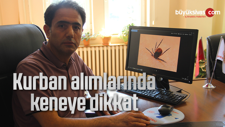 alım satımlarında