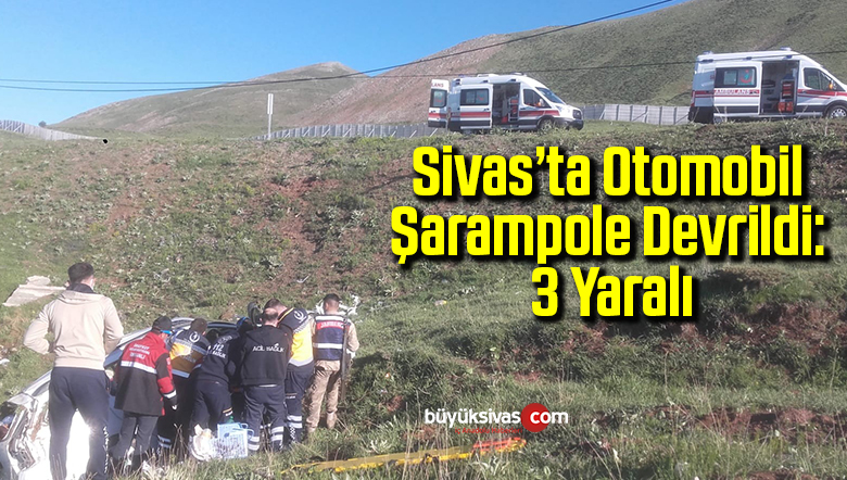 Otomobil şarampole devrildi: 3 yaralı