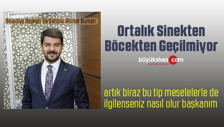 sinek böcek