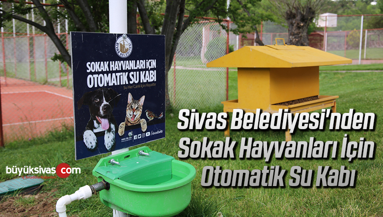 Sivas Belediyesi’nden Sokak Hayvanları İçin Otomatik Su Kabı