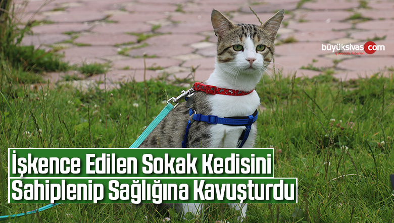 sokak