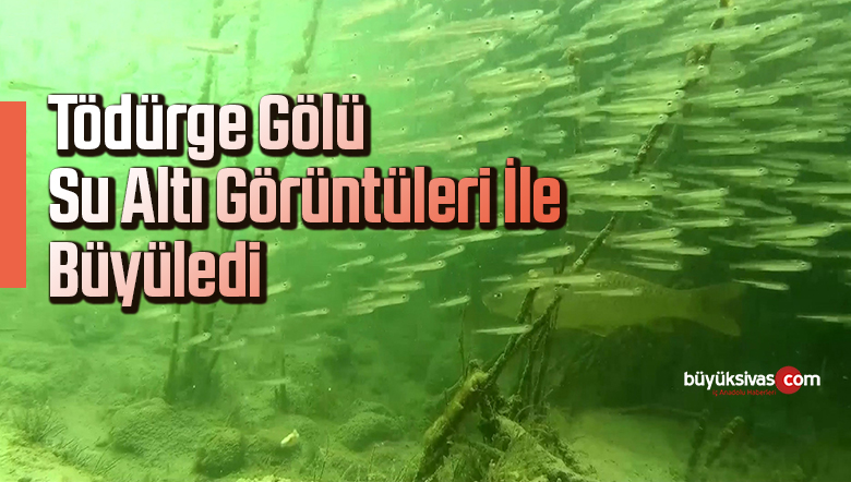 Tödürge gölü su altı görüntüleri ile büyüledi