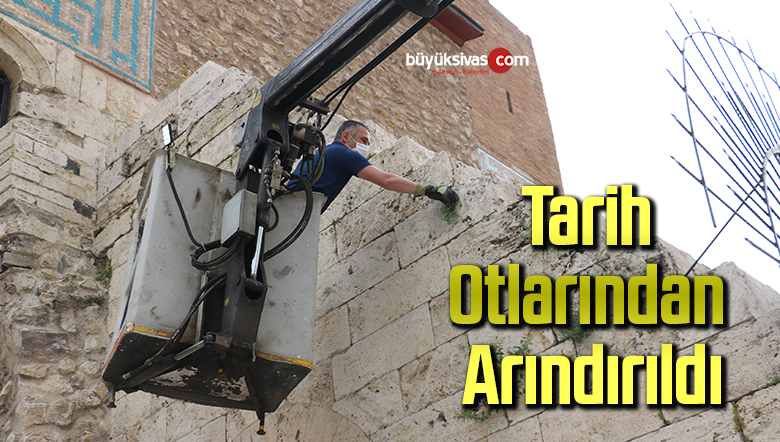 Tarih otlarından arındırıldı