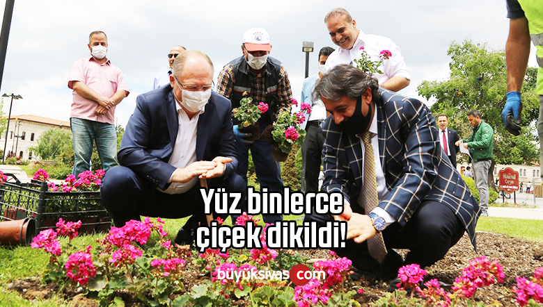 Sivas Belediyesi Ekipleri Çalışıyor! Yüz binlerce Çiçek Sivaslılarla!