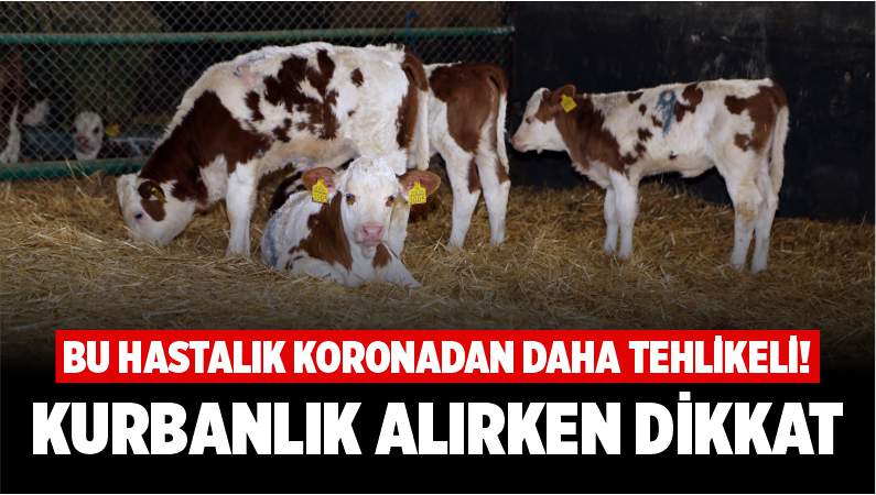 BU HASTALIK KORONADAN DAHA TEHLİKELİ!