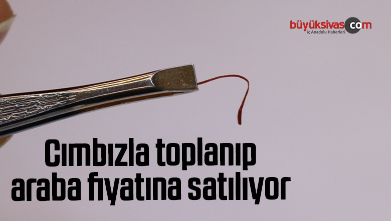 30 bin TL'ye