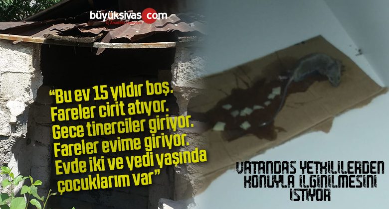 “Boş evdeki fareler evime giriyor, tinerciler cirit atıyor”