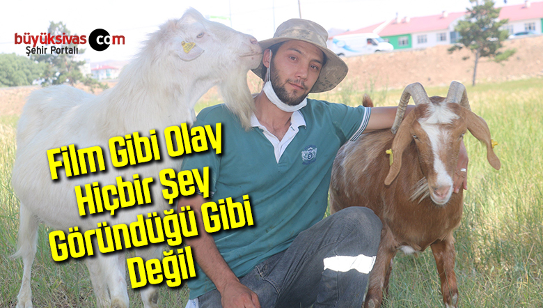 Film Gibi Olay Hiçbir Şey Göründüğü Gibi Değil