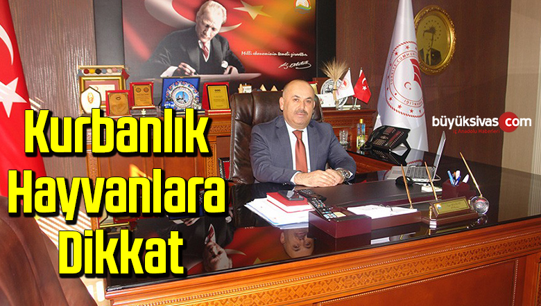 Kurbanlık hayvanlara dikkat