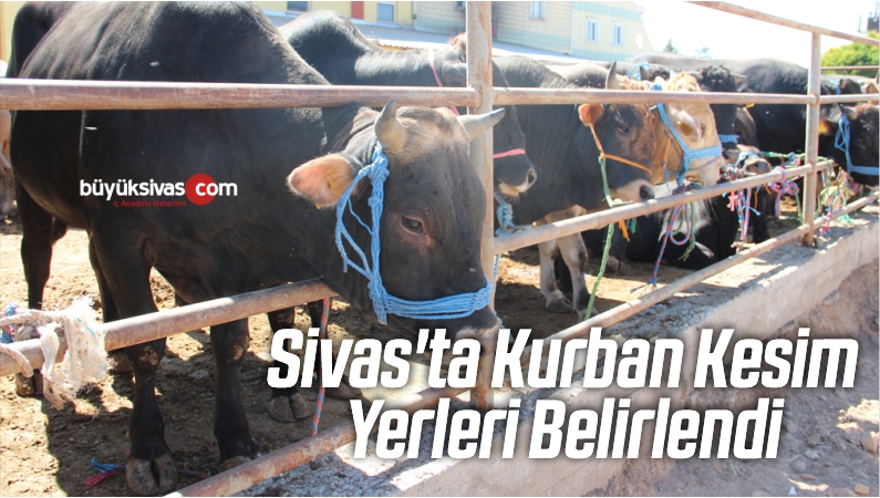 Sivas’ta Kurban Kesim Yerleri Belirlendi