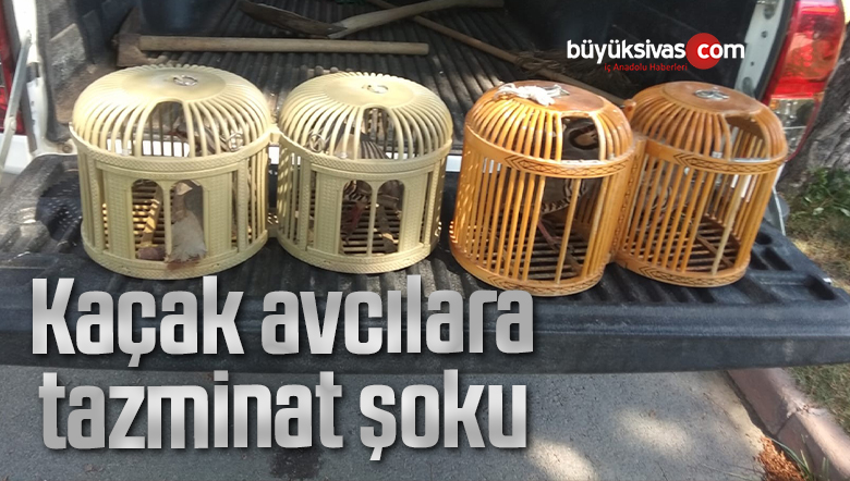 Keklik yakaladığı