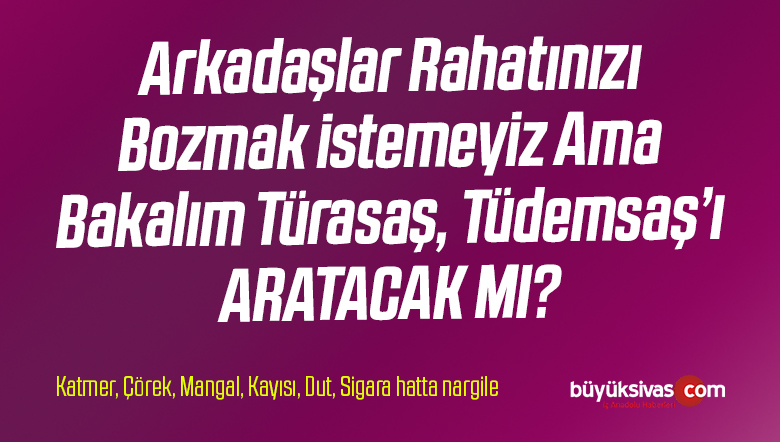 Sivas’ın Kanayan Yarası Tüdemsaş’ta Çalışanlar Ne Yapar?