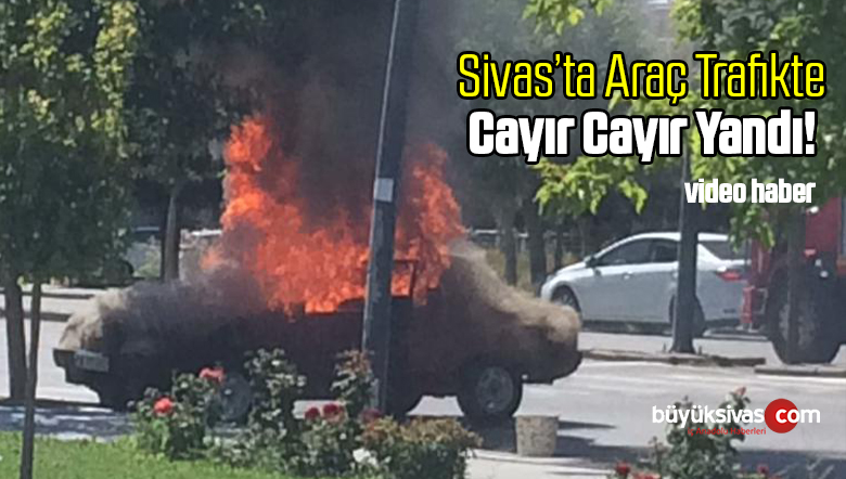 Trafikte Cayır Cayır