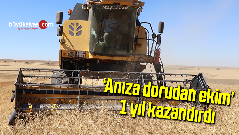anıza