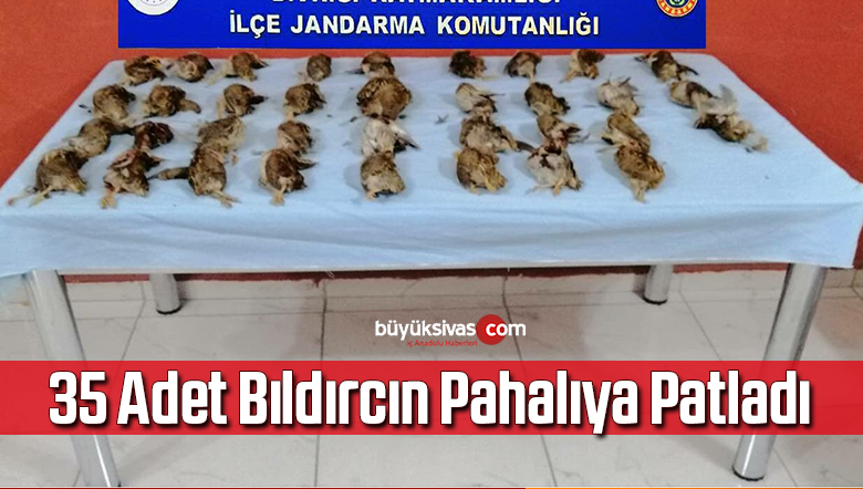 35 adet bıldırcın pahalıya patladı
