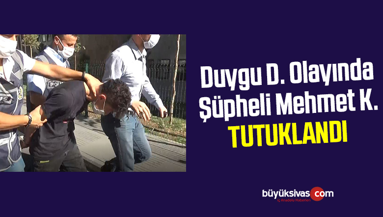 duygu
