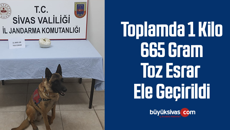 Toplamda 1 kilo 665 gram toz esrar ele geçirildi