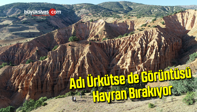 Adı ürkütse de görüntüsü hayran bırakıyor