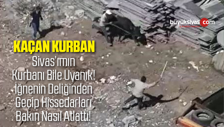 iğnenin Deliğinden