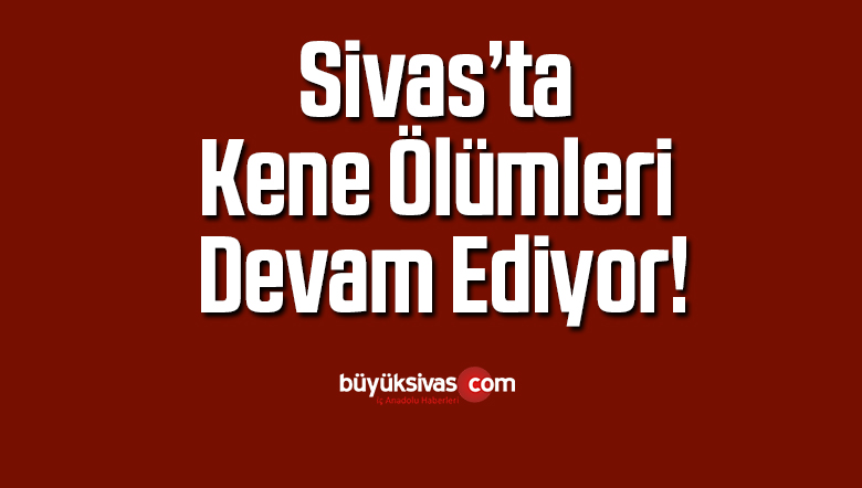 Sivas’ta Kene Ölümleri Devam Ediyor!