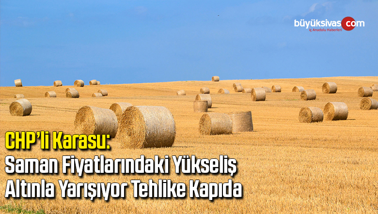 CHP’li Karasu: Saman fiyatlarındaki yükseliş altınla yarışıyor, tehlike kapıda