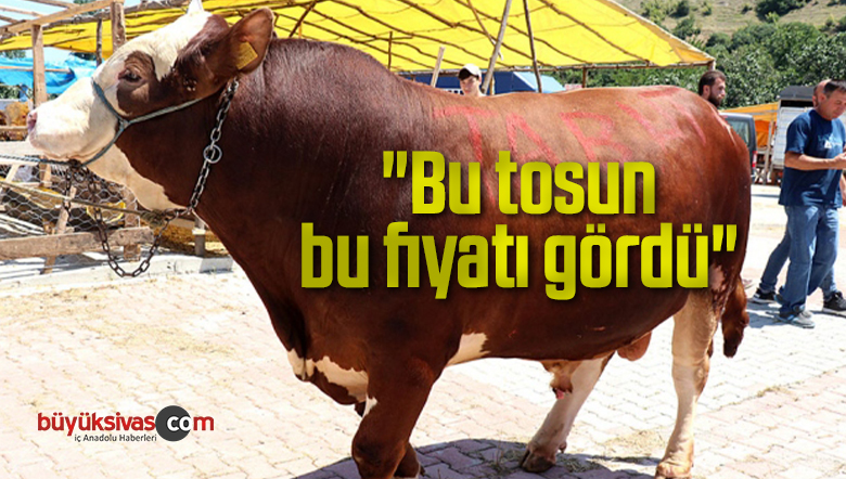 Bu tosun