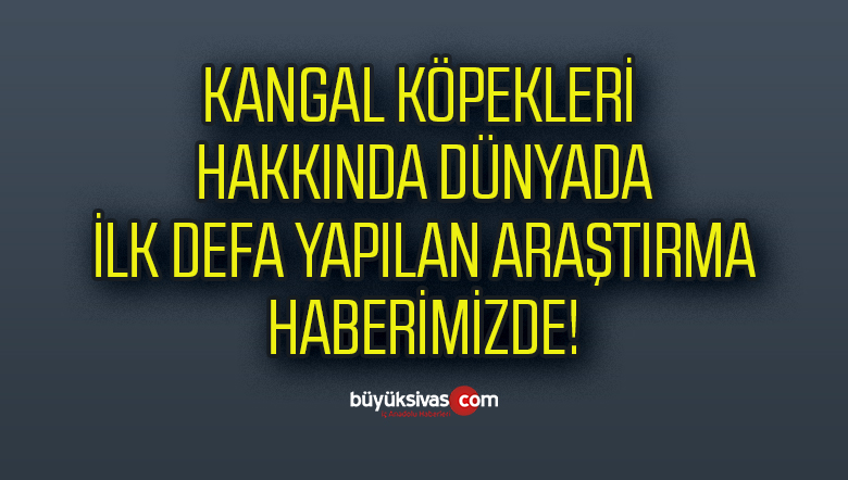 Yavrusunu Yiyen Kangal Köpekleri Tedavi Ediliyor