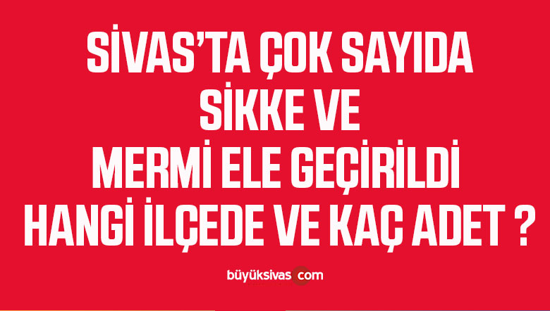 Sivas’ın Suşehri İlçesinde Sikke Ele Geçirildi