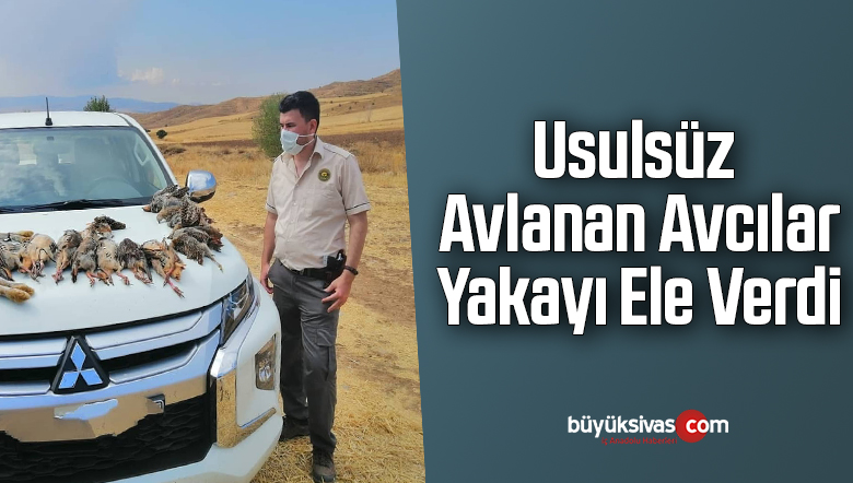 avcı
