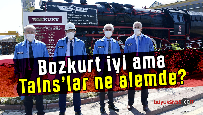 bozkurt2