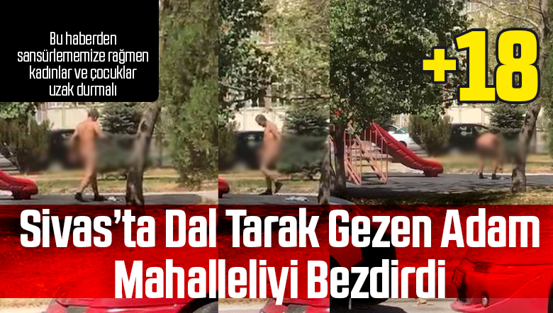 Sivas’ta Dal Tarak Gezen Adam Mahalleliyi Bezdirdi! Artı 18