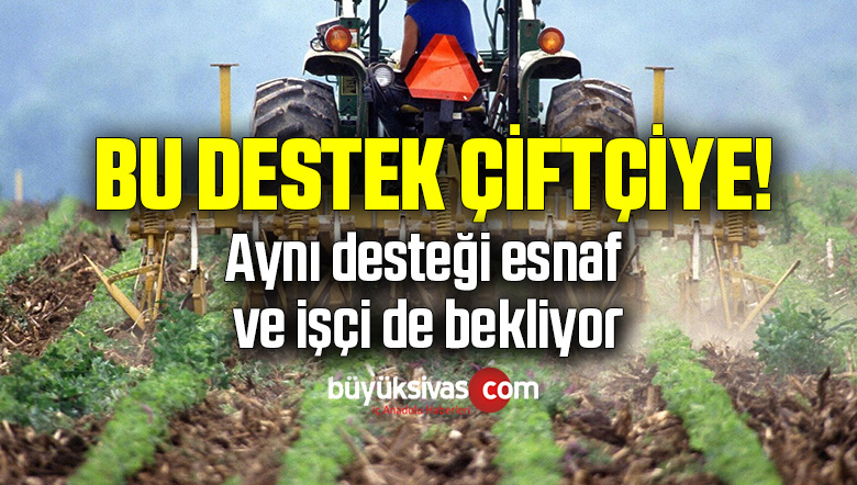 destek
