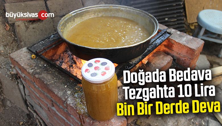 Doğada bedava, tezgahta 10 lira, bin bir derde deva