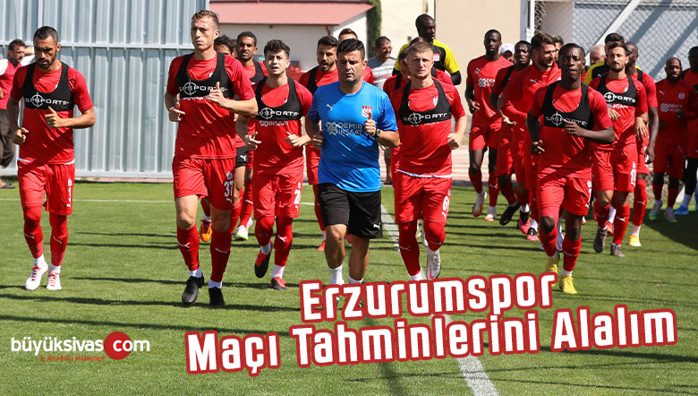 erzurumspor