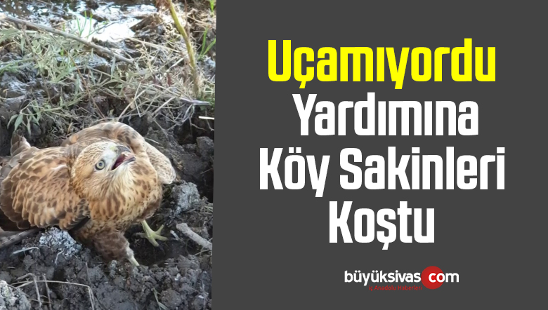 Uçamıyordu, yardımına köy sakinleri koştu
