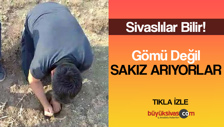 Sivas Güney Köyü Hayat Deresi mevkinde Kenger Sakızı çıkarıldı!