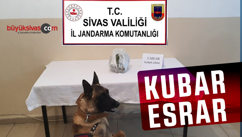1.5 kilo kubar esrar ele geçirildi! Jandarma ekiplerinden büyük başarı