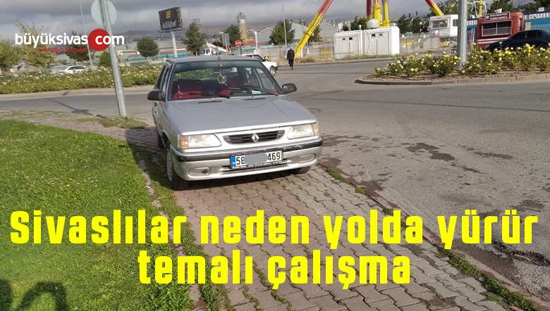 neden yolda