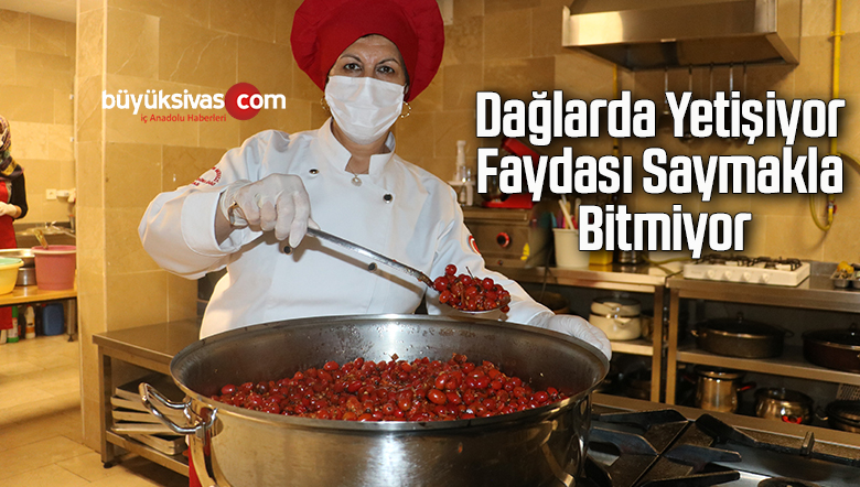 Dağlarda yetişiyor, faydası saymakla bitmiyor