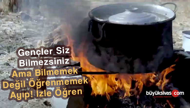 Başlangıçtan Ekşimeye Kadar Meşhur Pezik Turşusu (Dal Turşusu) Yapımı