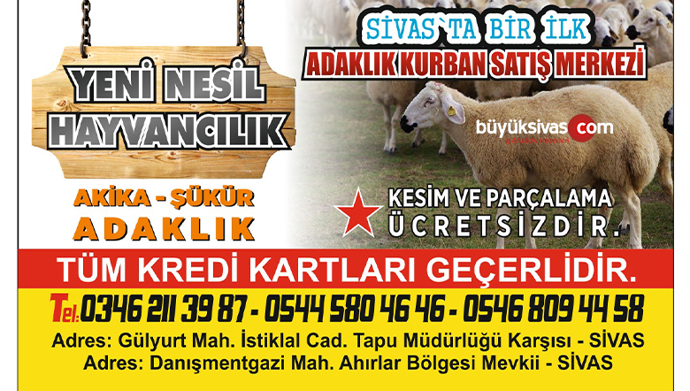 Sivas Adaklık Kurban