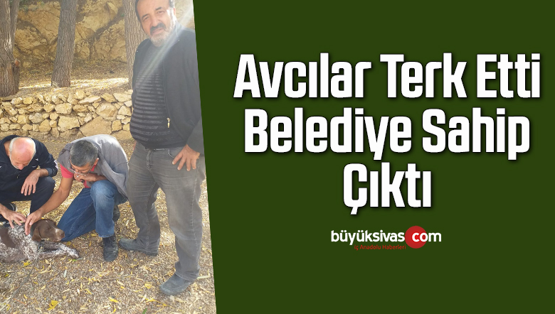 avcı