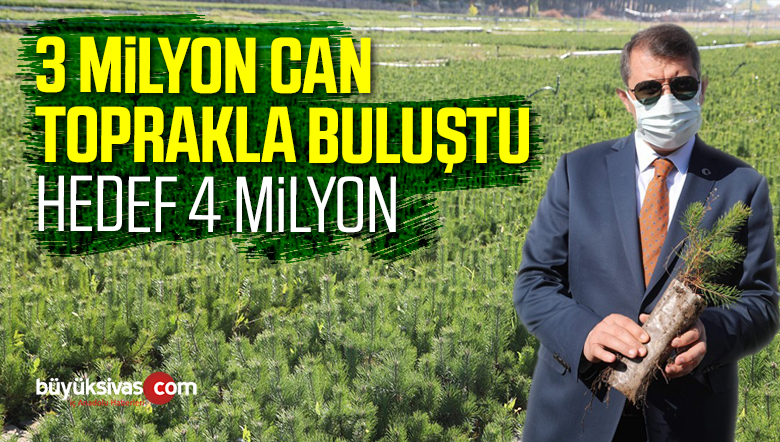 Sivas’ta 3 Milyon fidan toprakla buluştu, hedef 4 milyon fidan