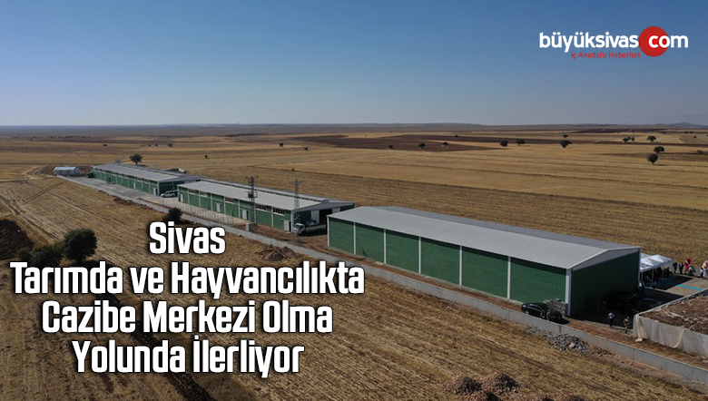 Sivas, Tarımda ve Hayvancılıkta Cazibe Merkezi Olma Yolunda İlerliyor