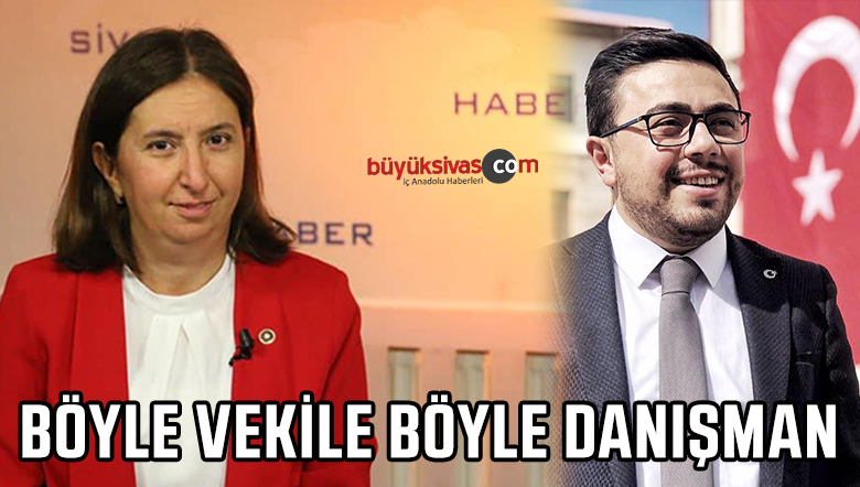 danışman