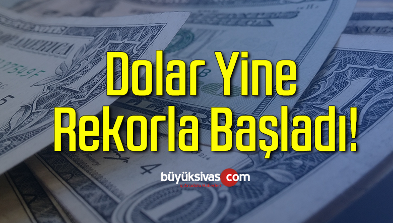 dolar
