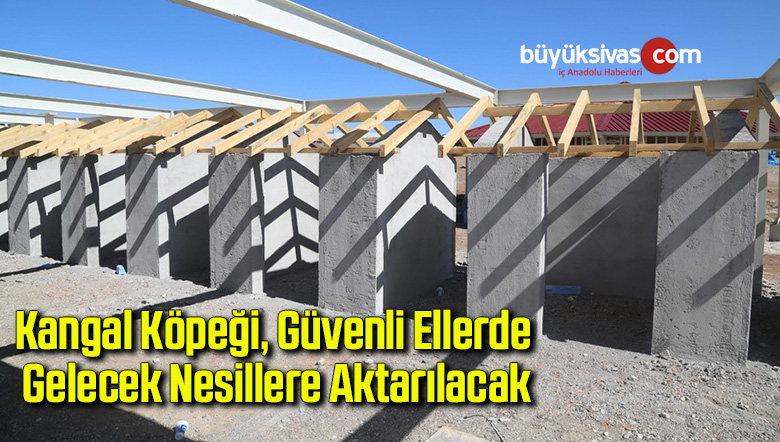 Kangal Köpeği, Güvenli Ellerde Gelecek Nesillere Aktarılacak