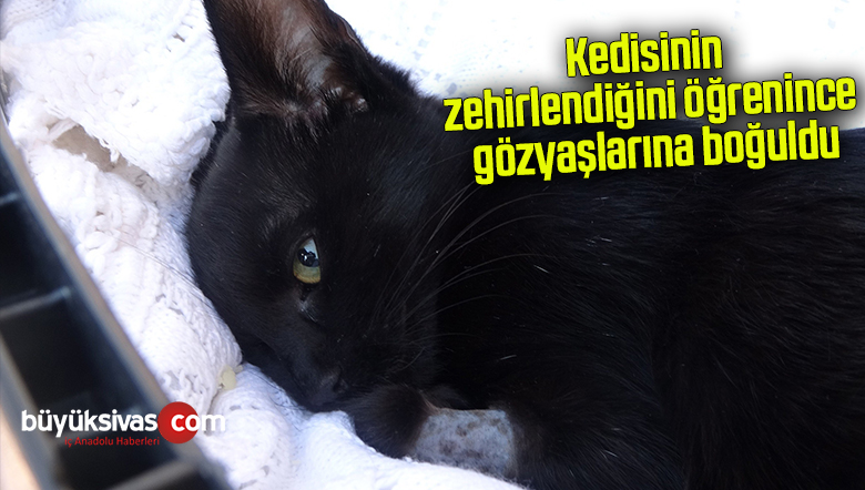 Kedisinin zehirlendiğini öğrenince gözyaşlarına boğuldu
